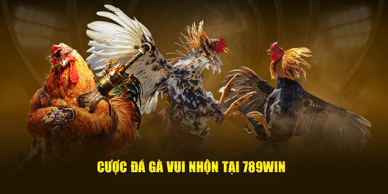 Cược đá gà vui nhộn tại 789Win