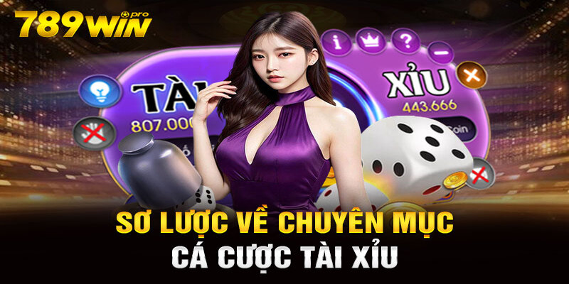 Giới thiệu sơ lược về game tài xỉu 789WIN